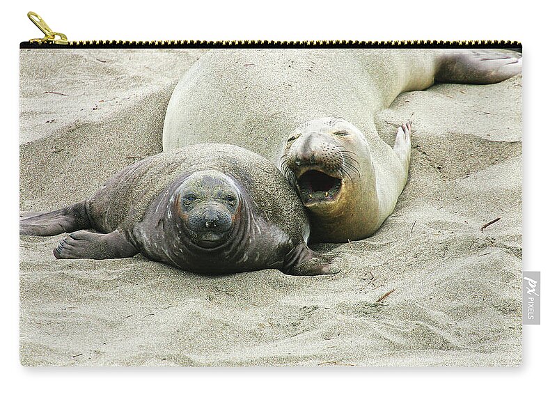 Elephant Seals Zip Pouch featuring the photograph Mom and Pup #1 by Anthony Jones