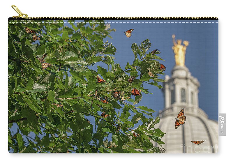 Monarchs Zip Pouch featuring the photograph Monarchs Migrating Through Madison by Amfmgirl Photography