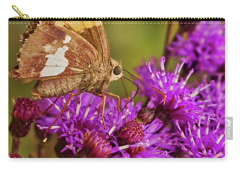 Macro Photography Zip Pouch featuring the photograph Moth On Purple Flowers by Meta Gatschenberger