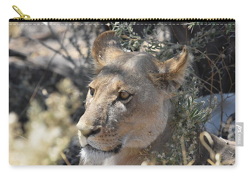 Lion Zip Pouch featuring the photograph Okavango Lioness #1 by Ben Foster