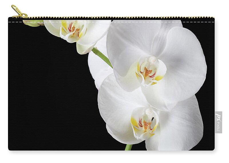 Black Background Zip Pouch featuring the photograph Orchid Flower #1 by Burazin