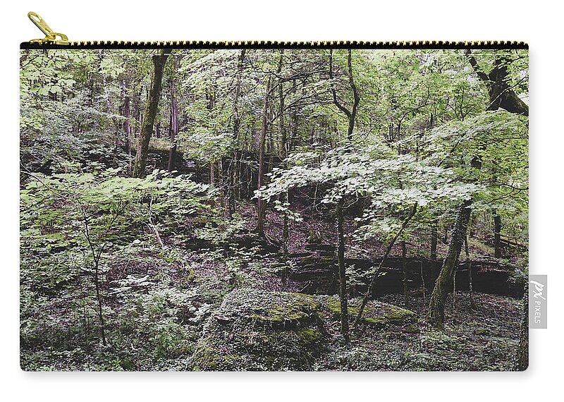 Photograph Carry-all Pouch featuring the photograph Ozark Walk by Kelly Thackeray