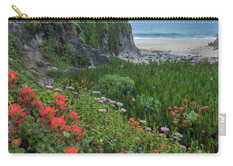 00571626 Zip Pouch featuring the photograph Paintbrush And Seaside Fleabane, Garrapata State Beach, Big Sur, California #1 by Tim Fitzharris