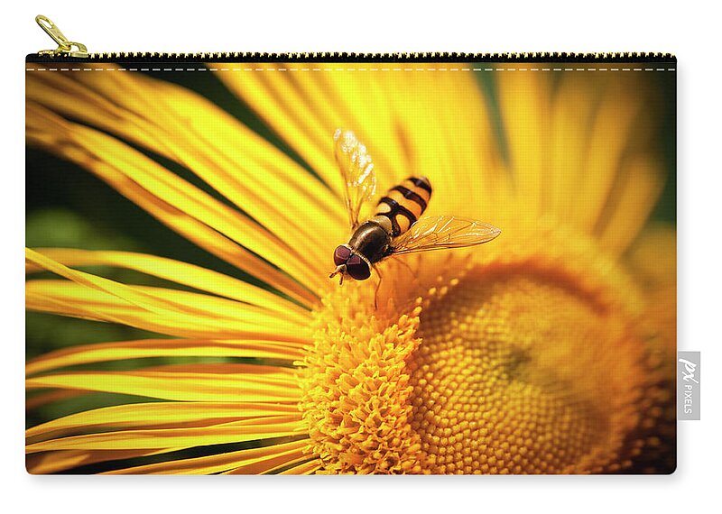 Insect Zip Pouch featuring the photograph Pollination #1 by Letty17