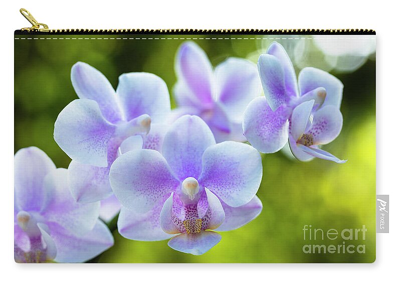 Background Zip Pouch featuring the photograph Purple Orchid Flowers #1 by Raul Rodriguez