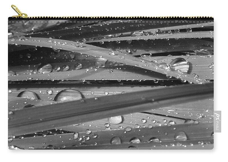 Rain On Siberian Iris Zip Pouch featuring the photograph Rain on Siberian Iris #1 by Natalie Dowty