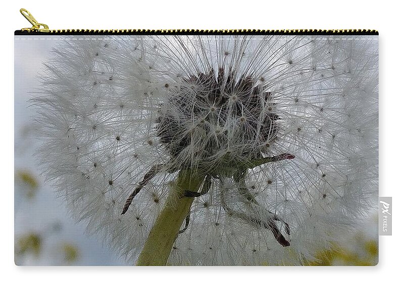 Flower Zip Pouch featuring the photograph Serenity by Karin Ravasio