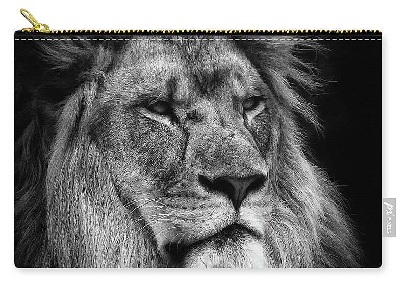 Lion Zip Pouch featuring the photograph Silver Lion #1 by Chris Boulton