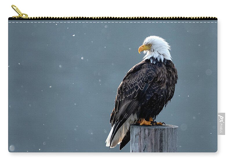 Eagle Zip Pouch featuring the photograph Snow Bird #2 by Joy McAdams