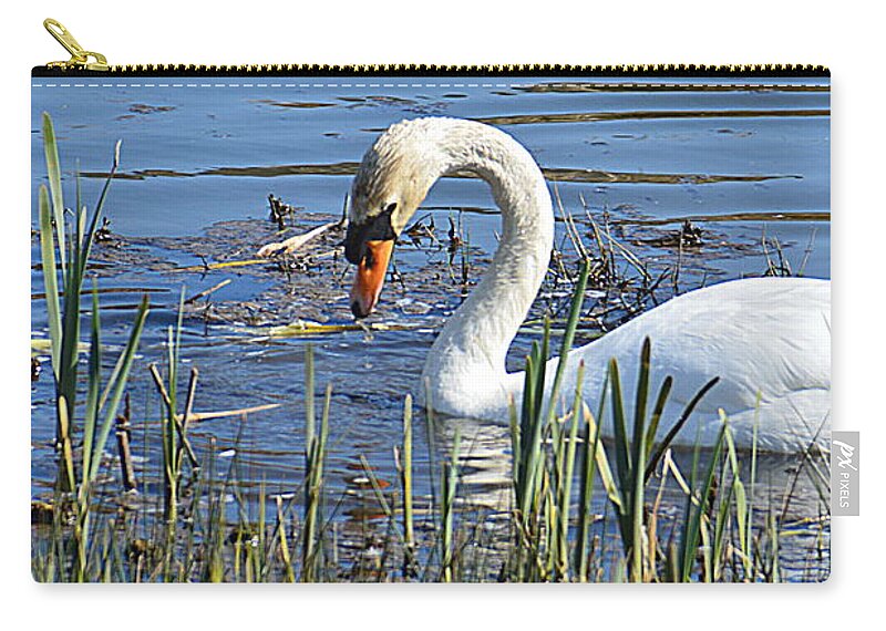 Swan Zip Pouch featuring the photograph Swan #1 by Andy Thompson
