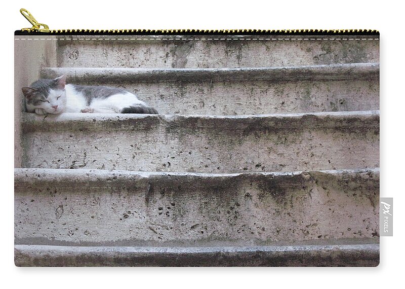 Nap Zip Pouch featuring the photograph Cat Nap by Christine Rivers