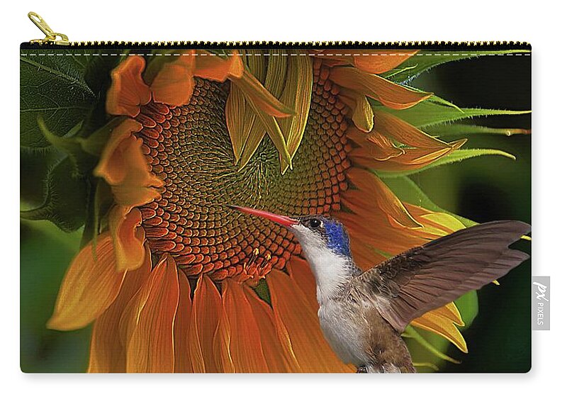 Sunflower Zip Pouch featuring the photograph Together Again #1 by John Kolenberg