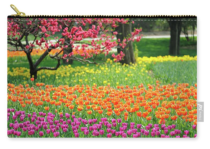 Outdoors Zip Pouch featuring the photograph Tulip, 2009 #1 by Wu, Hongqiang
