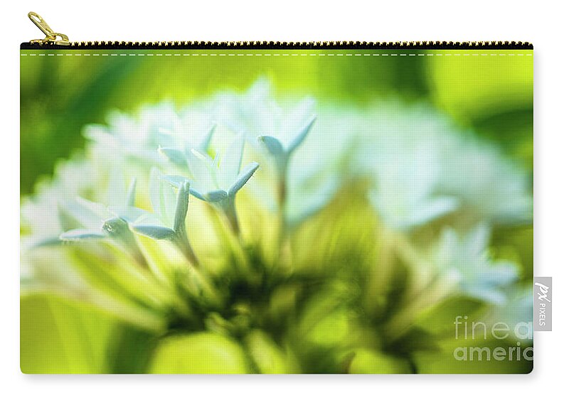 Background Carry-all Pouch featuring the photograph White Pentas Flowers by Raul Rodriguez