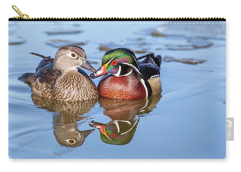 Wood Duck Couple Zip Pouch featuring the photograph Wood duck couple #2 by Lynn Hopwood