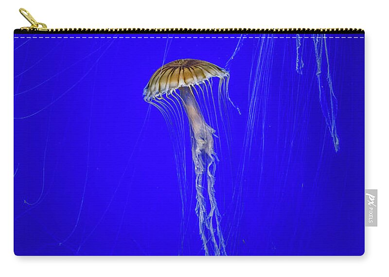 #jellyfish #art #aquarium #sea #ocean #nature #fish #water #photography #sealife #underwater #marinelife #japan #japanese #blue #yellow #gold Zip Pouch featuring the photograph Japanese Jellyfish #13 by Kenny Thomas