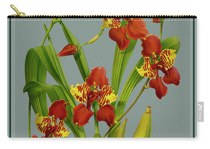 Vintage Zip Pouch featuring the drawing Orchid Vintage Print on Tinted Paperboard #154 by Baptiste Posters