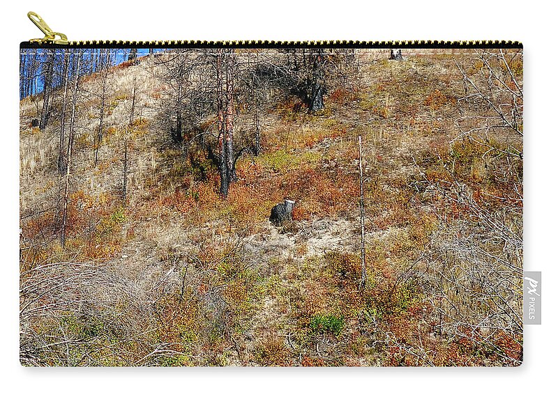 Washington Zip Pouch featuring the photograph Aftermath of forest fire with pines #2 by Steve Estvanik