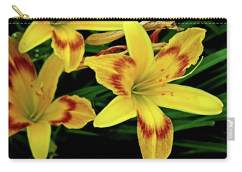 Flowers Zip Pouch featuring the photograph Blooms #2 by George Taylor