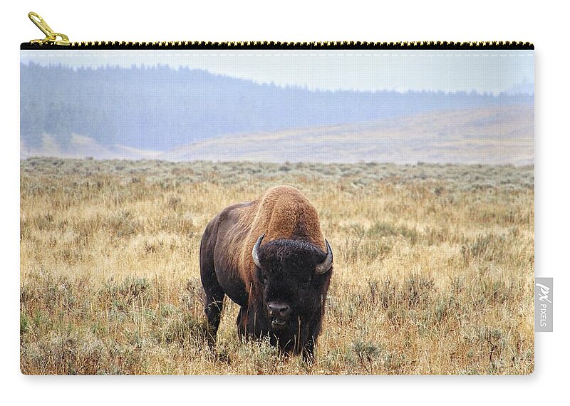 Buffalo At Yellowstone Zip Pouch featuring the photograph Buffalo at Yellowstone National Park #2 by Susan Jensen