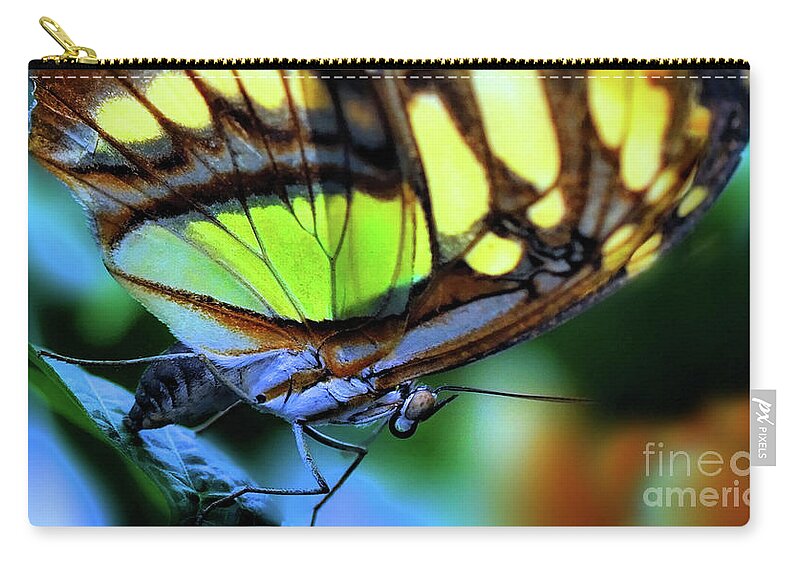 Butterfly Zip Pouch featuring the photograph Butterfly #2 by Elaine Manley