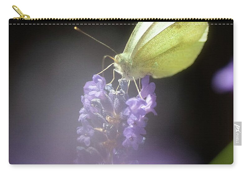 Macro Zip Pouch featuring the photograph Butterfly #2 by Mariusz Talarek