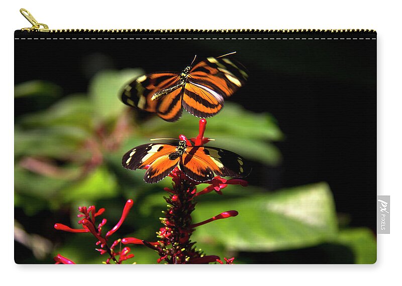 Butterfly Zip Pouch featuring the photograph Butterfly #3 by Richard Krebs