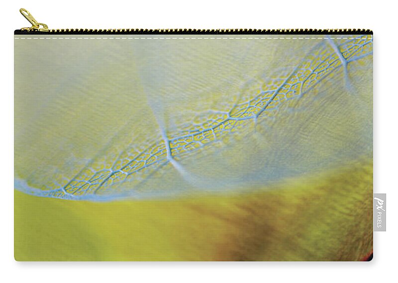 Natural Pattern Zip Pouch featuring the photograph Close-up Of A Dried Leaf Vein #2 by Glowimages