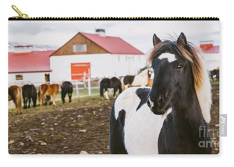 Agriculture Zip Pouch featuring the photograph Herd of precious Icelandic horses gathered in a farm. #2 by Joaquin Corbalan