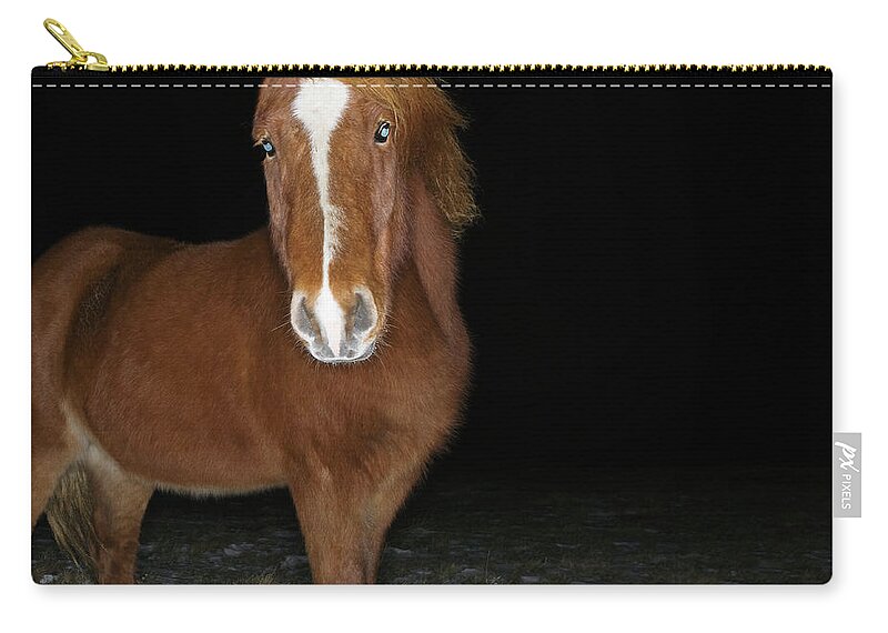 Horse Zip Pouch featuring the photograph Icelandic Horse #2 by Roine Magnusson
