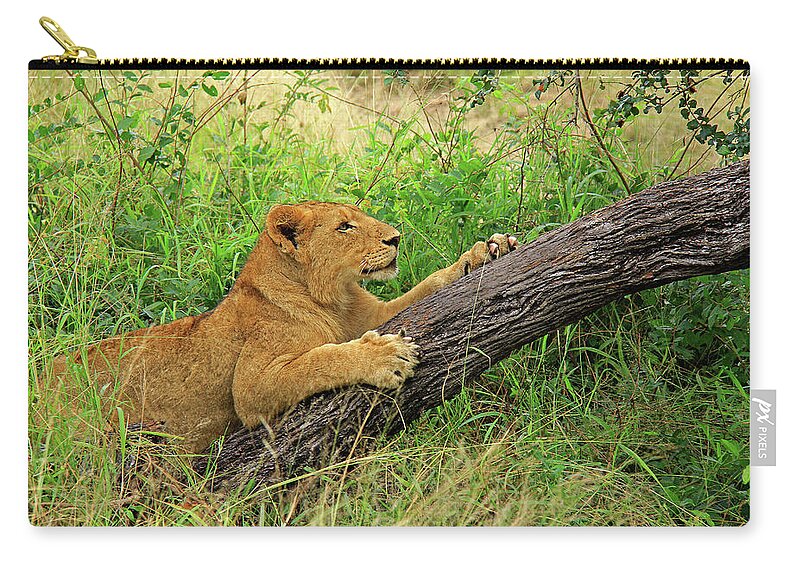 Lion Carry-all Pouch featuring the photograph Lioness by Richard Krebs