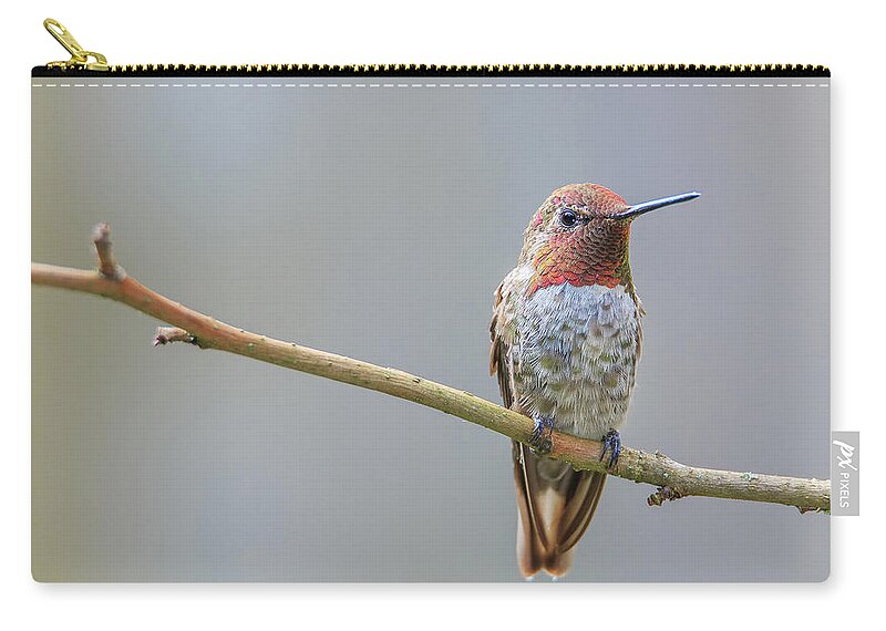 Animal Zip Pouch featuring the photograph Male Anna's Hummingbird #2 by Briand Sanderson