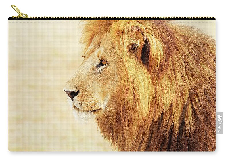 Kenya Zip Pouch featuring the photograph Male Lion In Masai Mara #2 by Ivanmateev