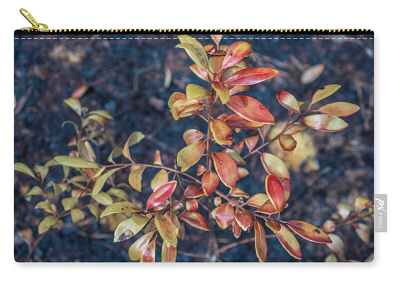Barrens Zip Pouch featuring the photograph Pine Barrens Burn #2 by Louis Dallara