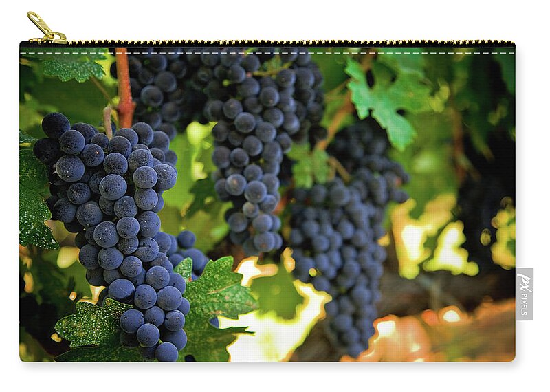 Sonoma County Zip Pouch featuring the photograph Ripe Grapes #2 by Thepalmer
