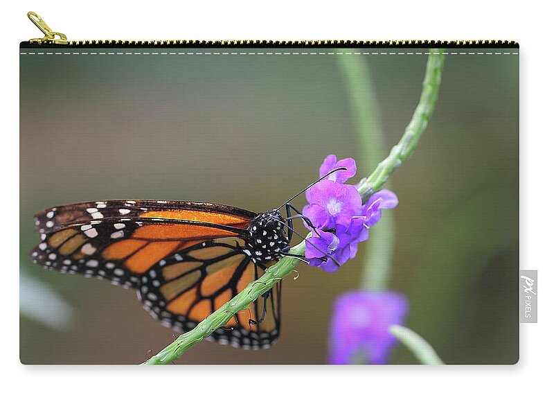 Orange Color Zip Pouch featuring the photograph Schmetterling Lepidoptera #2 by Copyright By Hellboy2503/jörg David