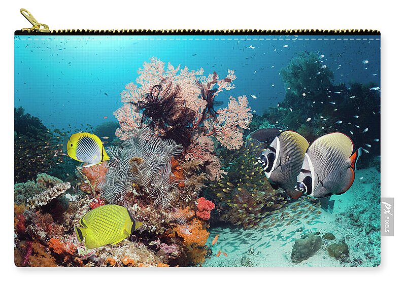 Tranquility Zip Pouch featuring the photograph Tropical Coral Reef Fish #2 by Georgette Douwma