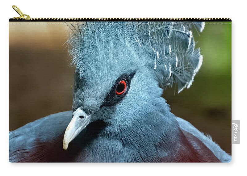 Animal Zip Pouch featuring the photograph Victoria Crowned Pigeon #2 by Kuni Photography