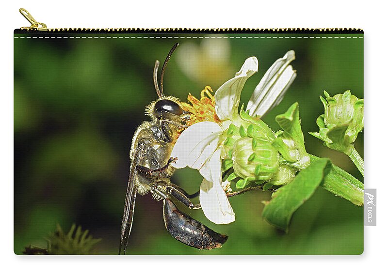 Photograph Zip Pouch featuring the photograph Wasp #2 by Larah McElroy