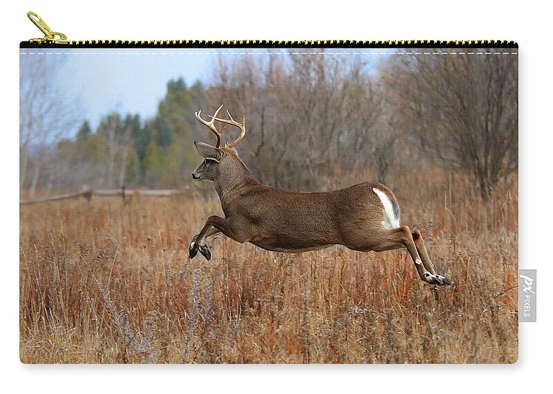Kanata Zip Pouch featuring the photograph White Tailed Deer #2 by Jim Cumming