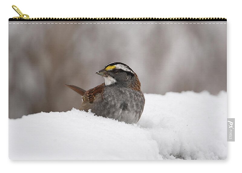 Sparrow Zip Pouch featuring the photograph White- Throated Sparrow by Ann Bridges