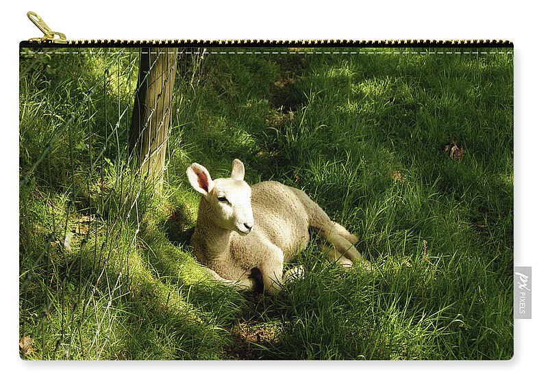 Cumbria Carry-all Pouch featuring the photograph 20/06/14 KESWICK. Lamb In The Woods. by Lachlan Main
