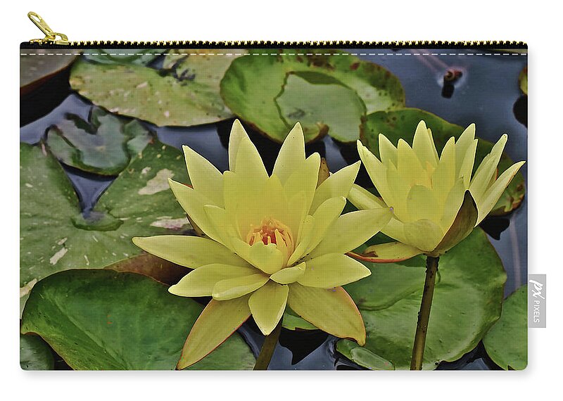 Waterlilies Zip Pouch featuring the photograph 2019 August at the Gardens Betsy Sakata Tropical Waterlily by Janis Senungetuk