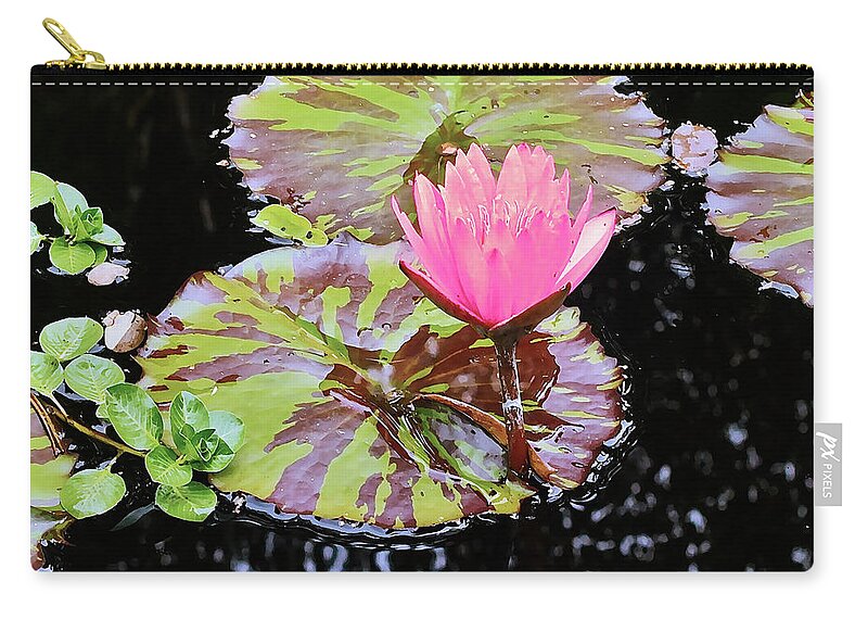 Waterlily Zip Pouch featuring the photograph 2019 August at the Gardens Rose Waterlily 2 by Janis Senungetuk