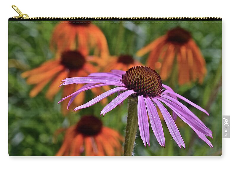 Coneflowers Zip Pouch featuring the photograph 2019 June At the Gardens Coneflowers by Janis Senungetuk