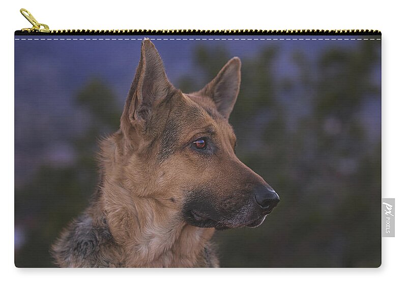 Animal Zip Pouch featuring the photograph Liesl #23 by Brian Cross