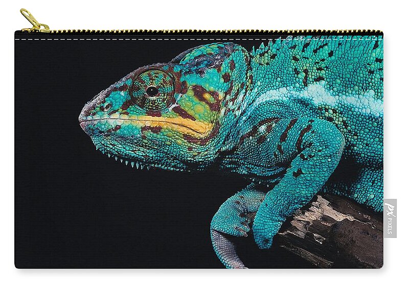 Animal Themes Zip Pouch featuring the photograph 23901680 by Jupiterimages