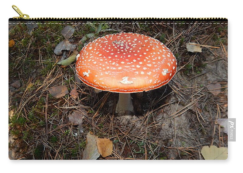 Amanita Zip Pouch featuring the photograph Amanita mushrooms grown in the autumn forest #3 by Oleg Prokopenko