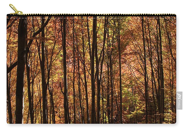 Sole Zip Pouch featuring the photograph Autunno #3 by Simone Lucchesi
