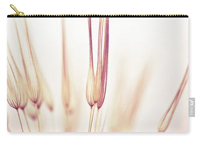Purple Zip Pouch featuring the photograph Dandelion Seed #3 by Jasmina007